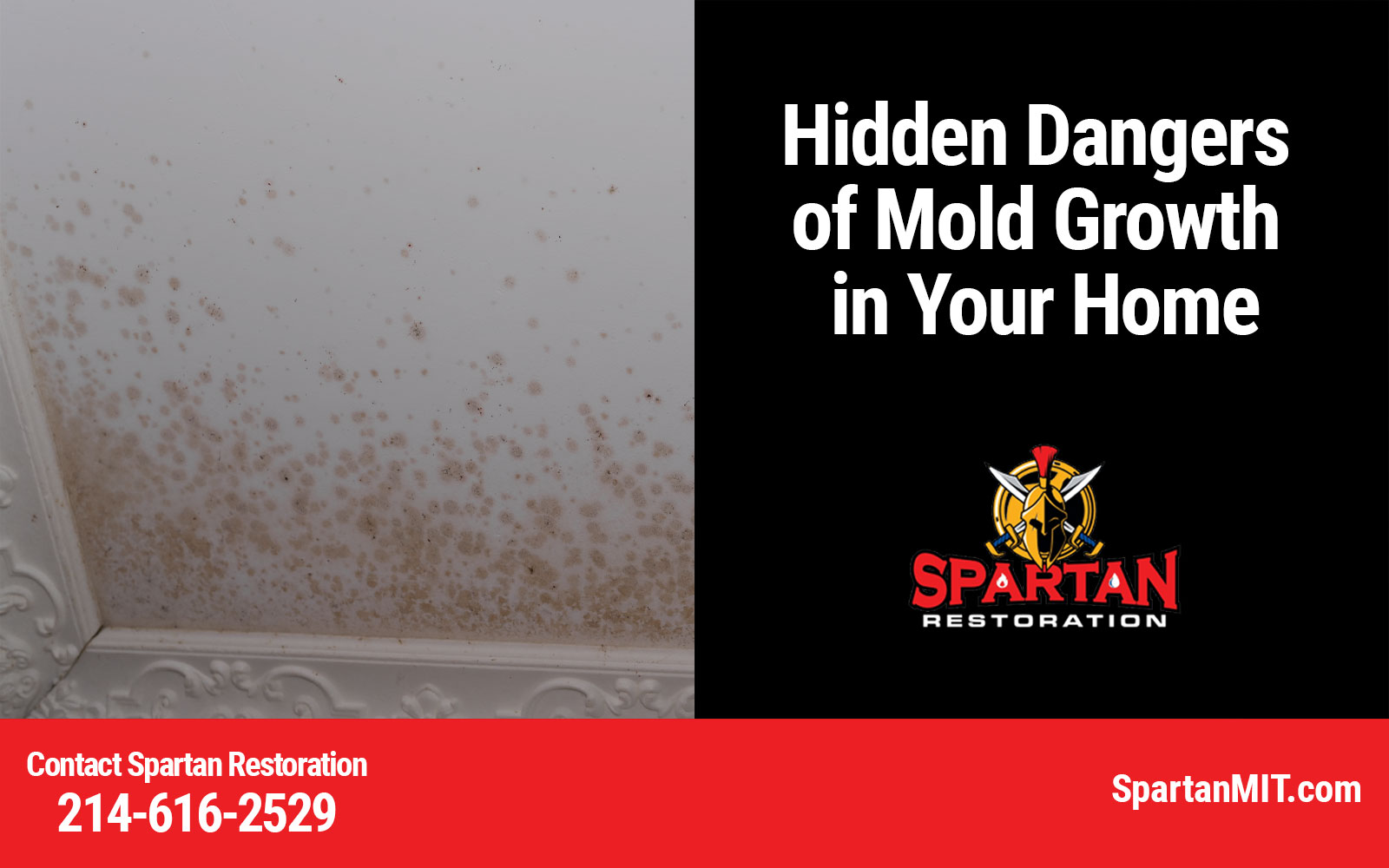 mold damage restoration