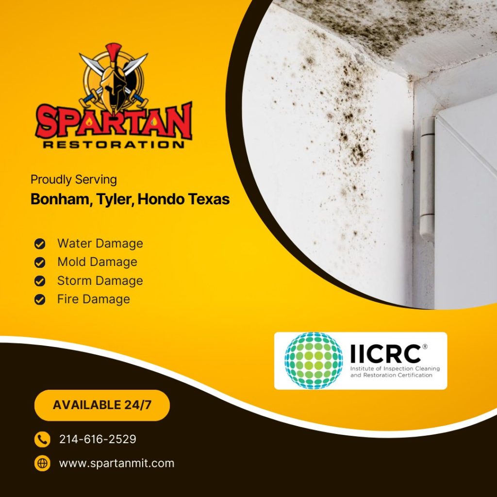 water damage restoration