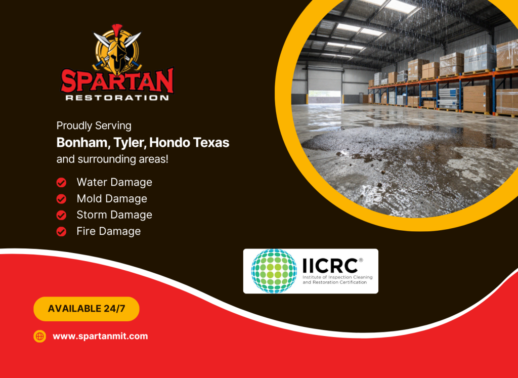 water mitigation near me